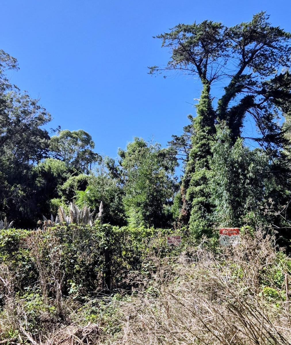 Gran lote en esquina de 508 m² en Bosque Peralta Ramos
