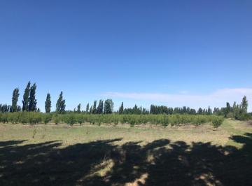 Quinta vacacional · 146m² · 6 Ambientes · Finca en Venta - 4 Dorm. 2 Baños - Mendoza