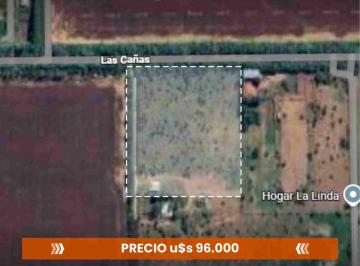 Terreno en Venta   · Vendo Terreno Oportunidad Colonia Tirolesa 136 Mt X 136 Mt