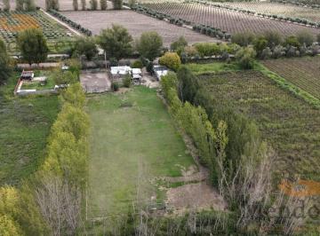 Casa · 10000m² · 3 Ambientes · Venta de 1 Hectárea con 3 Casas y Cancha de Fútbol - Junín (Centro), Mza.