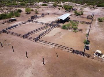 Terreno , Lavalle · Campo Estratégico de 300ha en Mendoza Lavalle - Ideal, Producción Ganadera