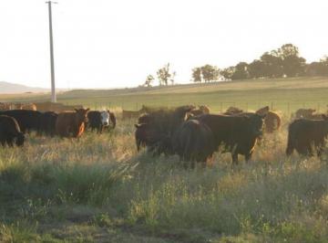 Campo · 5300000m² · Campo en Venta - 5.300.000 m² - Arroyo Corto