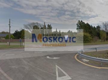 Campo · 30000m² · Campo en General Rodriguez - Venta - 3 Ha