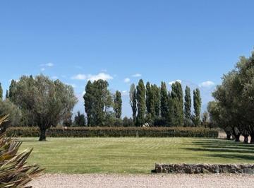 Campo , Agrelo · Finca en Agrelo