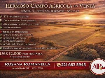 Campo · Campo - Centeno
