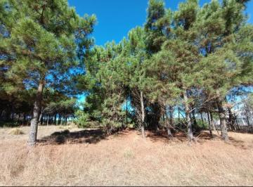 Terreno · 1530m² · Terreno en Venta - 1.530 m² - Marítimo II - Costa Esmeralda