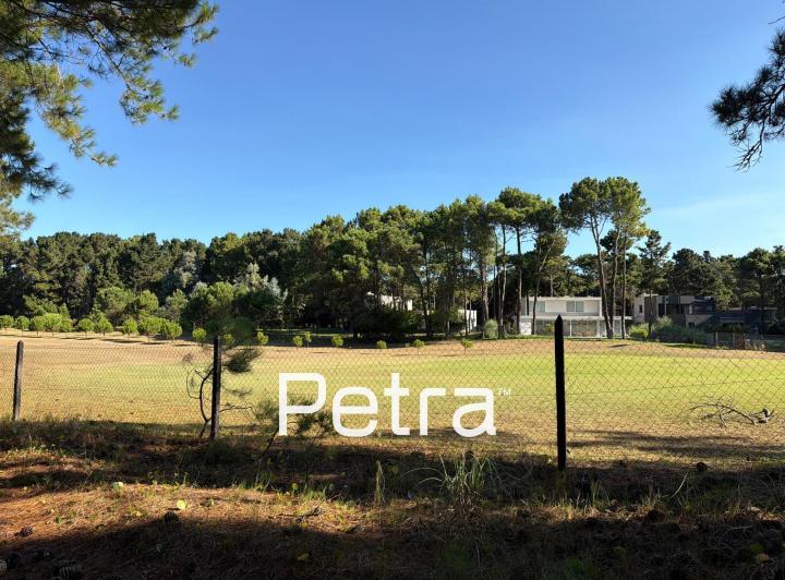 Terreno · 2006m²
