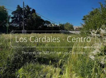 Terreno · 307m² · Terreno en Venta, Centro del Pueblo Los Cardales, Suipacha y Malvinas Argentinas