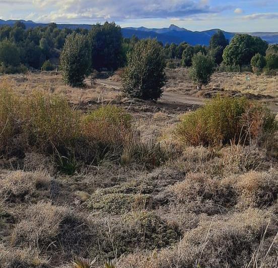 Terreno · 600m²