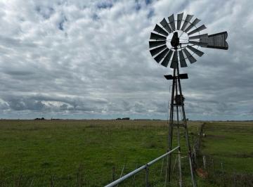 Campo · 3330000m² · Campo Mixto de 333 Ha en Balcarce, Ruta 55.