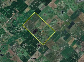 Campo · 2580000m² · Campo en Venta - 258 Hectáreas - Bolívar