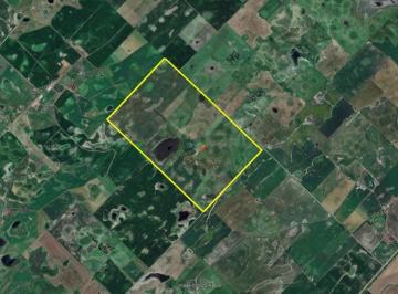 Campo · 2580000m² · Campo en Venta - 258 Hectáreas - Bolívar