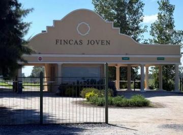 Terreno · 658m² · Terreno - Fincas Joven
