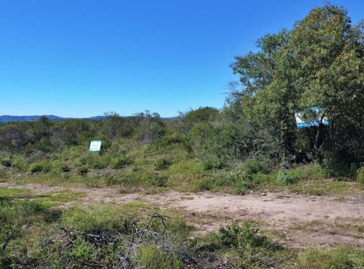 Terreno · 800m²