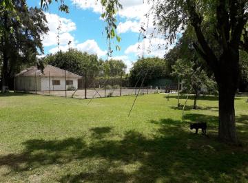 Terreno · 300m² · Terreno en B. S. rita