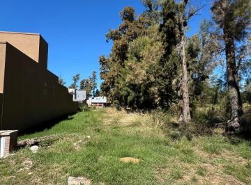 Terreno · 330m² · Terreno en Nuevo Loreto