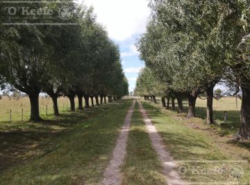 Campo · 2270000ha · Campo Mixto en Venta de 227 Has en Ranchos