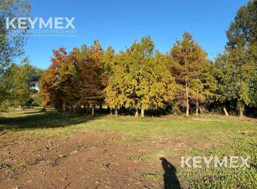 Terreno · 36800m² · Terreno con Muro Perimetral, Salida a 2 Calles, Lago y Añeja Arboleda. Villa Rosa, Pilar. Oportunidad!