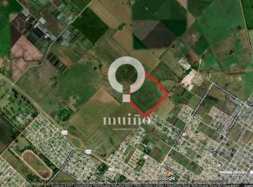 Campo · 417672ha · Campo - Ruta 226
