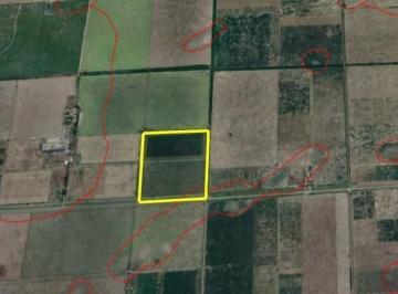 Campo · 250000ha · Campo en Arrufo