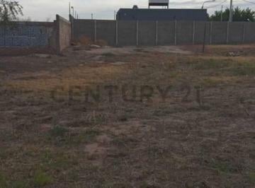 Terreno · 215m² · Lote en Venta Natania 23
