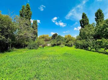 Terreno , Maipú · Finca con Frutales en Venta – Ruta 60 y Maza, Maipú
