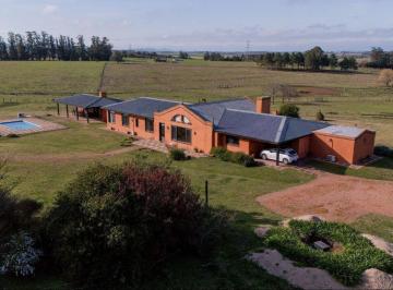 Campo · 900ha · 7 Ambientes · 5 Cocheras · Venta de Chacra en La Pataia, Maldonado