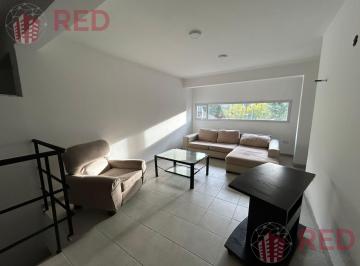 Departamento · 250m² · 8 Ambientes · Alquila Propiedad con 8 Ambientes Funcionales