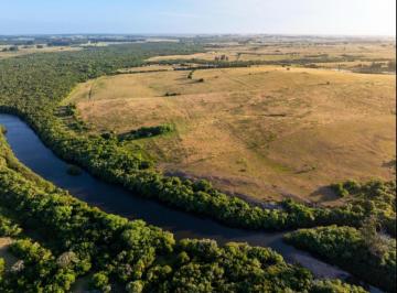 Campo · 880000m² · Campo en Venta – 88 Hectáreas con 800 m de Costa Al Arroyo José Ignacio, a 22 Minutos del Pueblo