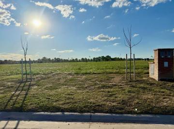Terreno · 516m² · Terreno en Venta en Silvestre Nordelta, con Financiación.