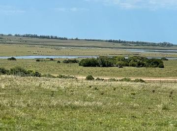 Campo · 300000m² · Campo en Venta – 30 Hectáreas con Vista Al Mar y Laguna José Ignacio, a 300 m de Estancia Vik