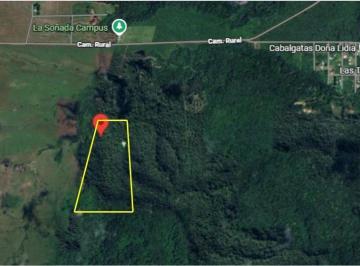 Campo · 200000m² · Venta Ha en El Ceibal