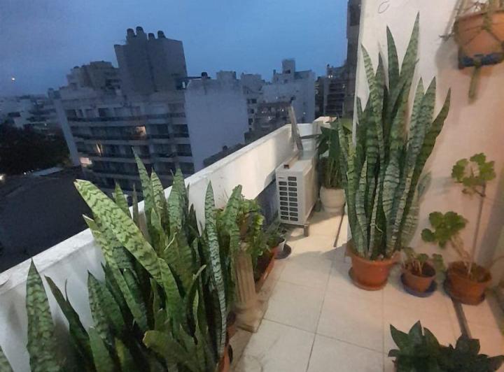 Departamento · 65m² · 4 Ambientes