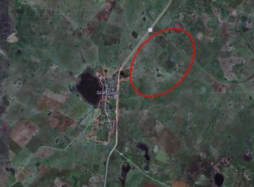 Terreno · 300ha · Oportunidad Única: Campo de 223 Hectáreas Mixtas con Frente Sobre Autovía 2 en General Guidon Genera