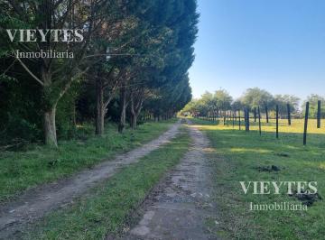 Campo · 100m² · 4 Ambientes · Fraccion con Casa Ideal Para Emprendimiento Rural