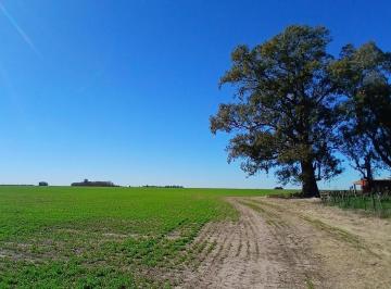 Campo · 2015000m² · Venta – Campo Mixto de 201.5 Hectáreas - Santa Teresa, Santa Fe.