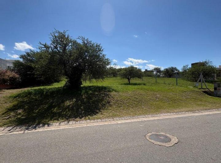 Terreno · 1200m²