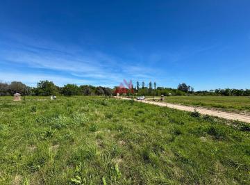 Terreno · 992m² · Terreno Lote en Venta en El Tilbury, Pilara, Pilar