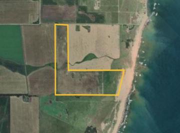Campo , Mar del Sur · 69 Ha en Miramar (Mar del Sur) con Salida Directa a La Playa.