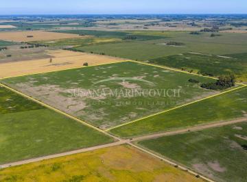 Campo · 400000m² · Campo Agricola de 40ha en Azcuenaga