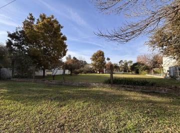 Terreno · 1200m² · 3 Lotes con Forestación de 10 X 40 Mtrs Cada Uno - Venta Unificada, Posibilidad de Financiación.
