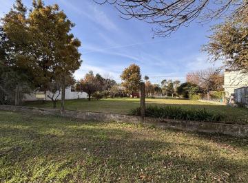 Terreno · 1200m² · 3 Lotes con Forestación de 10 X 40 Mtrs Cada Uno - Venta Unificada, Posibilidad de Financiación.
