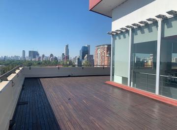 Oficina comercial · 527m² · 10 Cocheras · Venta Oficina con Terraza