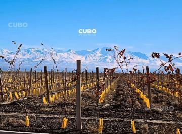 Terreno · 1000m² · Terreno Tupungato Valley