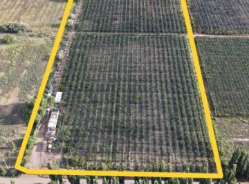 Campo , Cañada Seca · Vendemos Excelente Finca en Calle Larga Vieja.