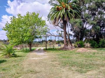 Campo · 50m² · Ha con Casa de Campo en Venta en Veronica