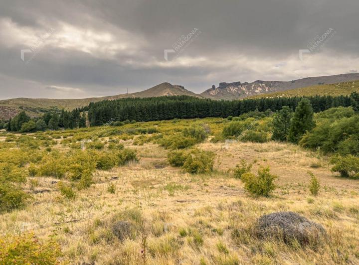 Terreno · 15000m²