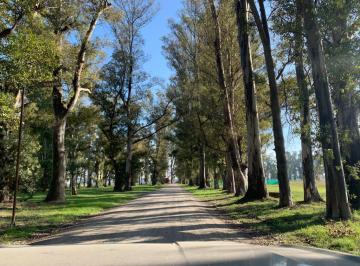 Terreno · 2000m² · Venta 2 Lotes en Tres Pinos, Barrio Polo, General Rodriguez