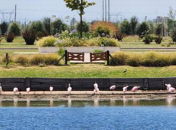 Terreno · 763m² · Venta de Lote a Laguna en Santa Clara Al Sur