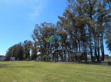 Vista dde fondo lote · Terreno Lote en Venta en Santa Sofía, Pilar del Este, Pilar